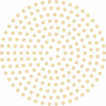 RAYNEIX_RGB_graphics_dotted_circle_blue RAYNEIX_RGB_graphics_dotted_circle_blue